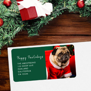 Schattigee Hond Pet Foto Groen Happy Pawholidays A Etiket