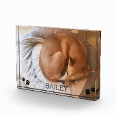 Schattigee Hond Pet Fotonaam Pawprints Fotoblok (Rechts)