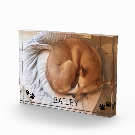 Schattigee Hond Pet Fotonaam Pawprints Fotoblok (Rechts)