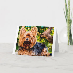 Schattigee hond Pet Yorkie Peace Love Destiny Fun  Bedankkaart