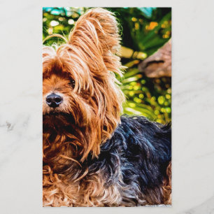Schattigee hond Pet Yorkie Peace Love Destiny Fun  Briefpapier