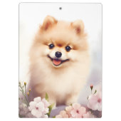 Schattigee hond, Pommerse Klembord (Achterkant)