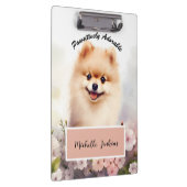 Schattigee hond, Pommerse Klembord (Rechts)