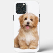 Schattigee hond uw huisdieren foto Case-Mate iPhone case (Achterkant)