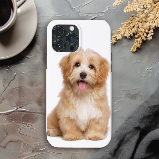 Schattigee hond uw huisdieren foto Case-Mate iPhone case