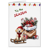 Schattigee hond Waggy Tails en behandelt kerst Kaa (Voorkant)