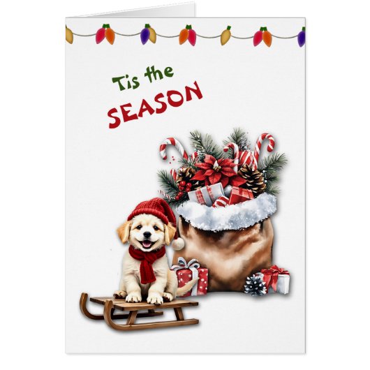 Schattigee hond Waggy Tails en behandelt kerst Kaa (Voorkant)