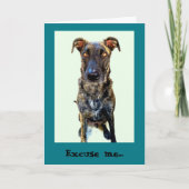 Schattigee hond Wenskaart Kaart (Voorkant)