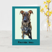 Schattigee hond Wenskaart Kaart (Gele Bloem)