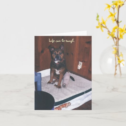 Schattigee hond wordt gezond/gebroken been kaart (Gele Bloem)
