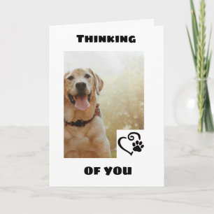 *SCHATTIGEE HOND ZEGT DAT HIJ EEN GELUKKIGE VERJAA KAART