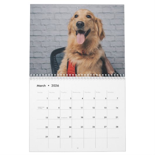 Schattigee Honden 2024 Kalender (Mar 2026)