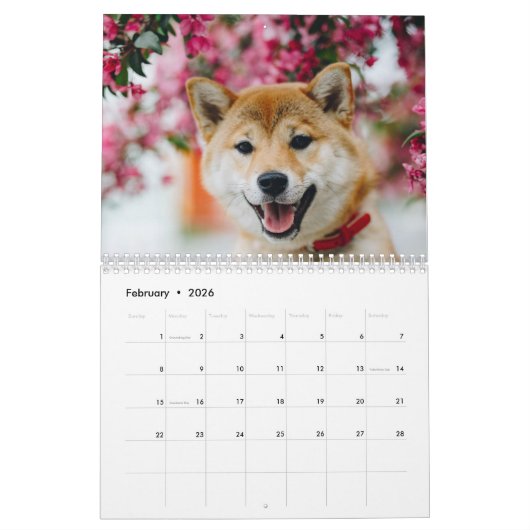 Schattigee Honden 2024 Kalender (Feb 2026)