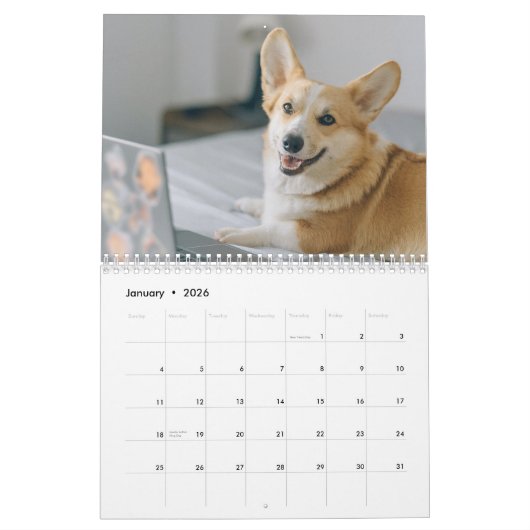 Schattigee Honden 2024 Kalender (Jan 2026)