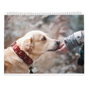 Schattigee honden en mooie Puppies 2025 Kalender