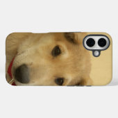 Schattigee honden en Puppies betekent tweede beste Case-Mate iPhone Case (Achterkant (horizontaal))