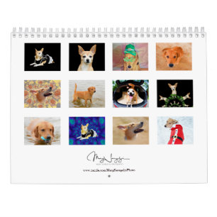Schattigee Honden Foto Art Design 2024Maandelijks Kalender