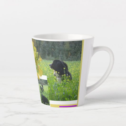 Schattigee honden in Rapeseed Field Collage Latte Latte Mok (Rechts)