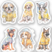 Schattigee honden in regenjassen Stickers (Voorkant)