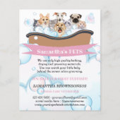 Schattigee Honden Katten Spa Sitter Groom PetCare  Flyer (Voorkant)