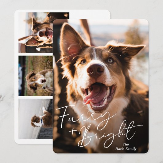 Schattigee hondenfoto Modern Christmas Feestdagenkaart (Voorkant / Achterkant)