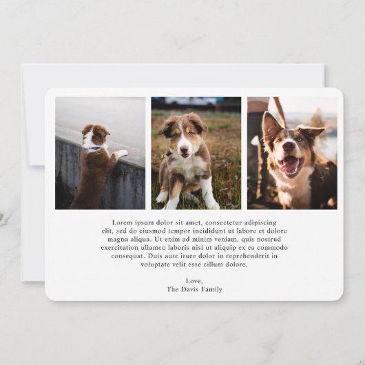 Schattigee hondenfoto Modern Christmas Feestdagenkaart (Achterkant)