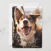 Schattigee hondenfoto Modern Christmas Feestdagenkaart (Voorkant)