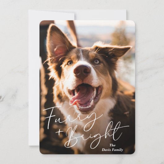 Schattigee hondenfoto Modern Christmas Feestdagenkaart (Voorkant)