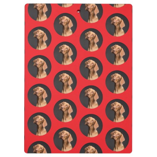 Schattigee hondenfoto modern klembord (Achterkant)