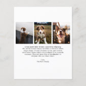 Schattigee Hondenfoto Moderne Kerst Kaart (Achterkant)