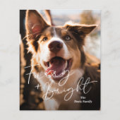 Schattigee Hondenfoto Moderne Kerst Kaart (Voorkant)