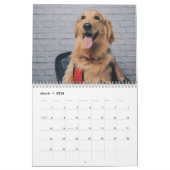 Schattigee hondenfoto's 2024 kalender (Mar 2026)