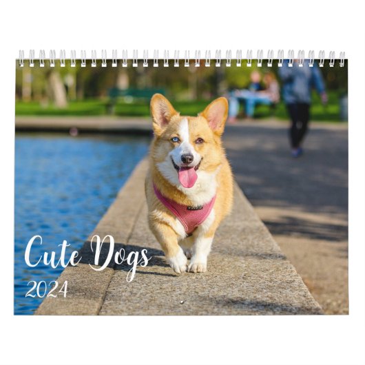 Schattigee hondenfoto's 2024 kalender (Hoes)