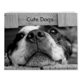 Schattigee hondenkalender kalender (Hoes)
