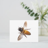 Schattigee honingbij hommel briefkaart (Staand voorkant)
