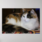 Schattigee Huisdier Kat op Kleurrijke Tapijt Geel  Poster (Voorkant)