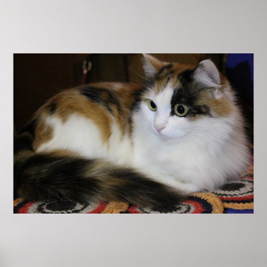 Schattigee Huisdier Kat op Kleurrijke Tapijt Geel  Poster (Voorkant)