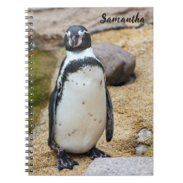 Schattigee Humboldt Penguin Spiral notitieboek