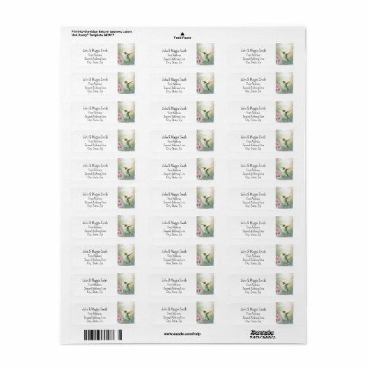 Schattigee Hummingbird Wildlife Natuur Animal Art Etiket (Full Sheet)