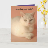 Schattigee, humoristische Vrouw verjaardag Kaart (Gele Bloem)