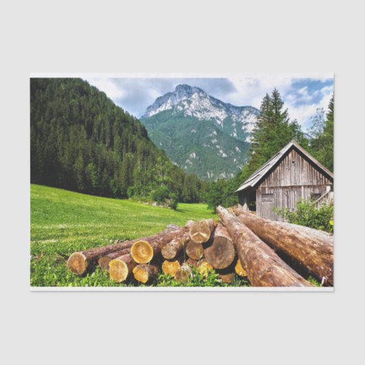 Schattigee hut geknuffeld in een zomerweide tissuepapier (Voorkant)