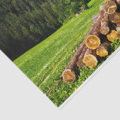 Schattigee hut geknuffeld in een zomerweide tissuepapier (Detail)