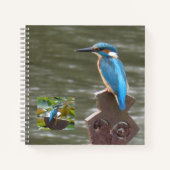 Schattigee ijsvogels (Birdwatchers) Notitieboek (Voorkant)