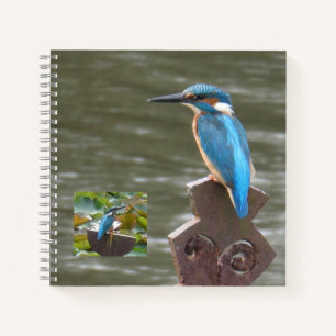 Schattigee ijsvogels (Birdwatchers) Notitieboek