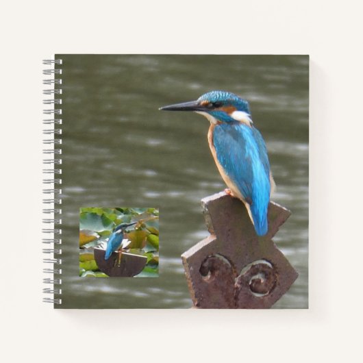 Schattigee ijsvogels (Birdwatchers) Notitieboek (Voorkant)
