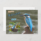 Schattigee ijsvogels. Happy Birthday Briefkaart (Voorkant / Achterkant)