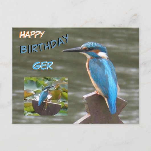 Schattigee ijsvogels. Happy Birthday Briefkaart (Voorkant)