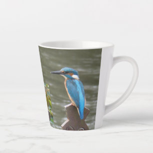 Schattigee ijsvogels Latte Mok