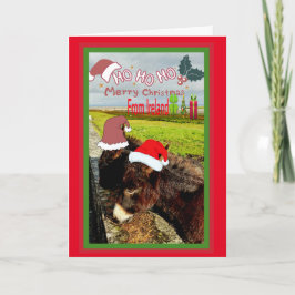 Schattigee Irish Santa Ezels Christmas Kaart