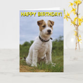 Schattigee Jack Russell verjaardagskaart Kaart (Gele Bloem)